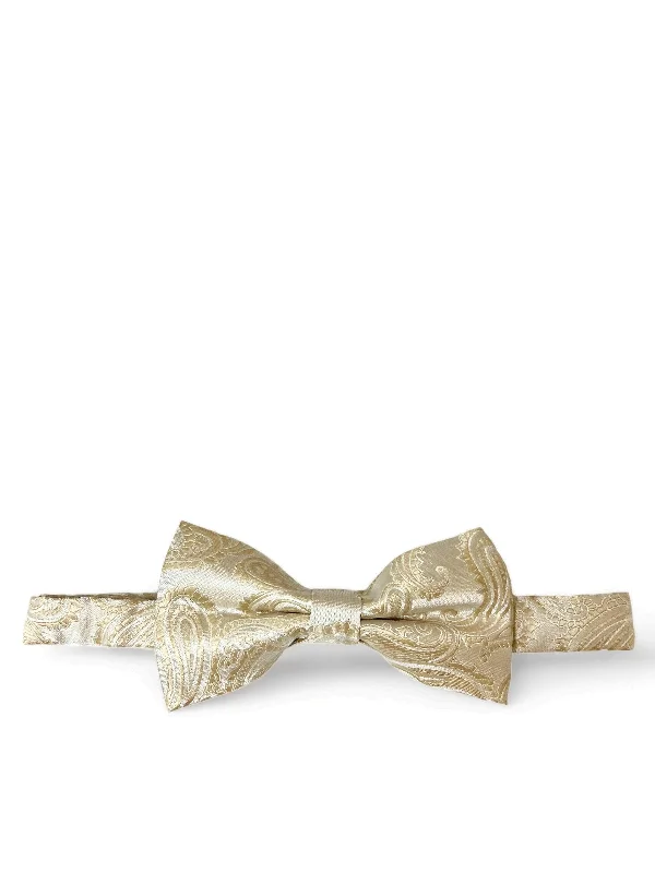 Taupe Paisley Bow Tie