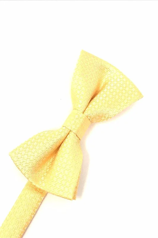 Harvest Maize Regal Bow Tie